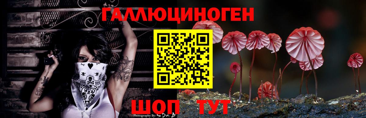 Соль-Илецк  Галлюциногенные грибы мухоморы  Псилоцибиновые грибы Magic Shrooms  Вход с VPN 