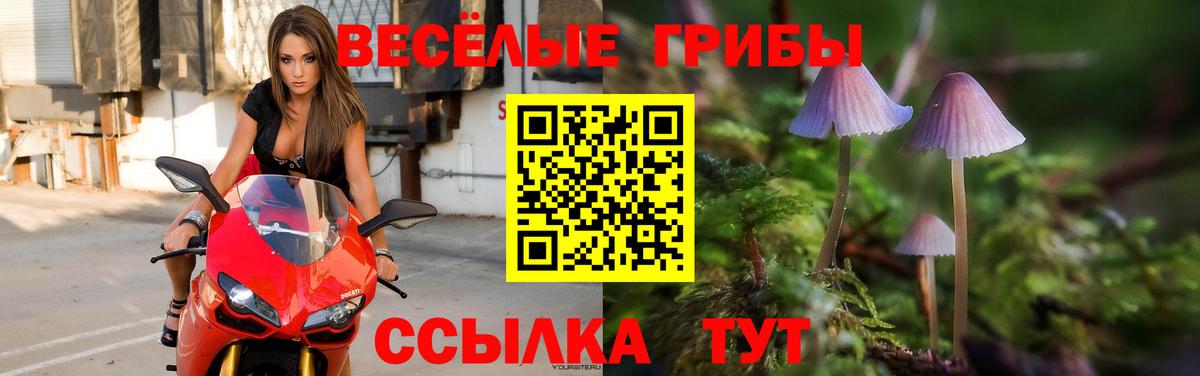 Псилоцибиновые грибы ЛСД Соль-Илецк